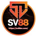 SV88 sv Profile Picture