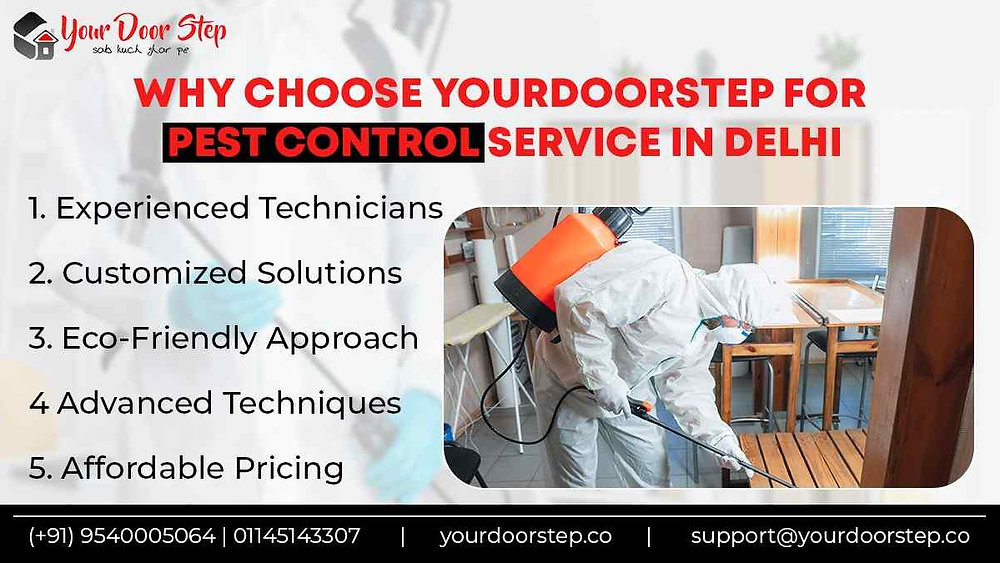 Expert Pest Control Service In Delhi By Yourdoorstep