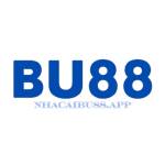 BU88 Profile Picture