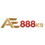 AE888 actionk9 Profile Picture