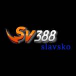 SV388 slavsko Profile Picture