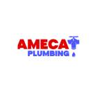 Ameca Plumbing Profile Picture