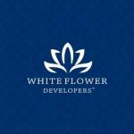 White Flower Developers Profile Picture