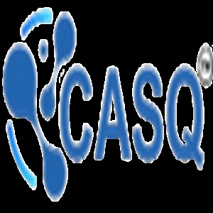 CASQ Infotech Profile Picture