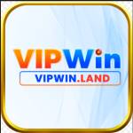 vipwin land Profile Picture