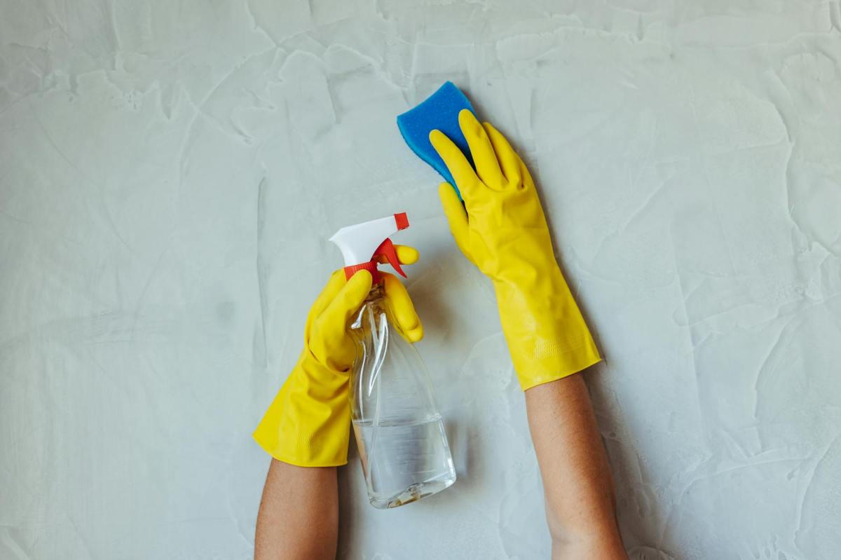 What is the Average Hourly Rate for a Cleaner in Brisbane? – Simply Spotless