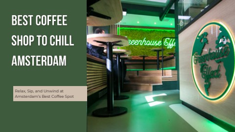 Escape the Hustle: Best Coffee Shop to Chill in Amsterdam | Greenhouse Effect Coffeeshop Amsterdam