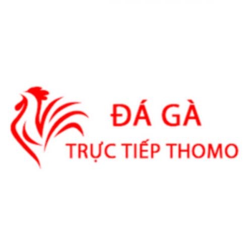 Đá Gà Trực Tiếp Thomo Hôm Nay Profile Picture