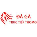 Đá Gà Trực Tiếp Thomo Hôm Nay Profile Picture