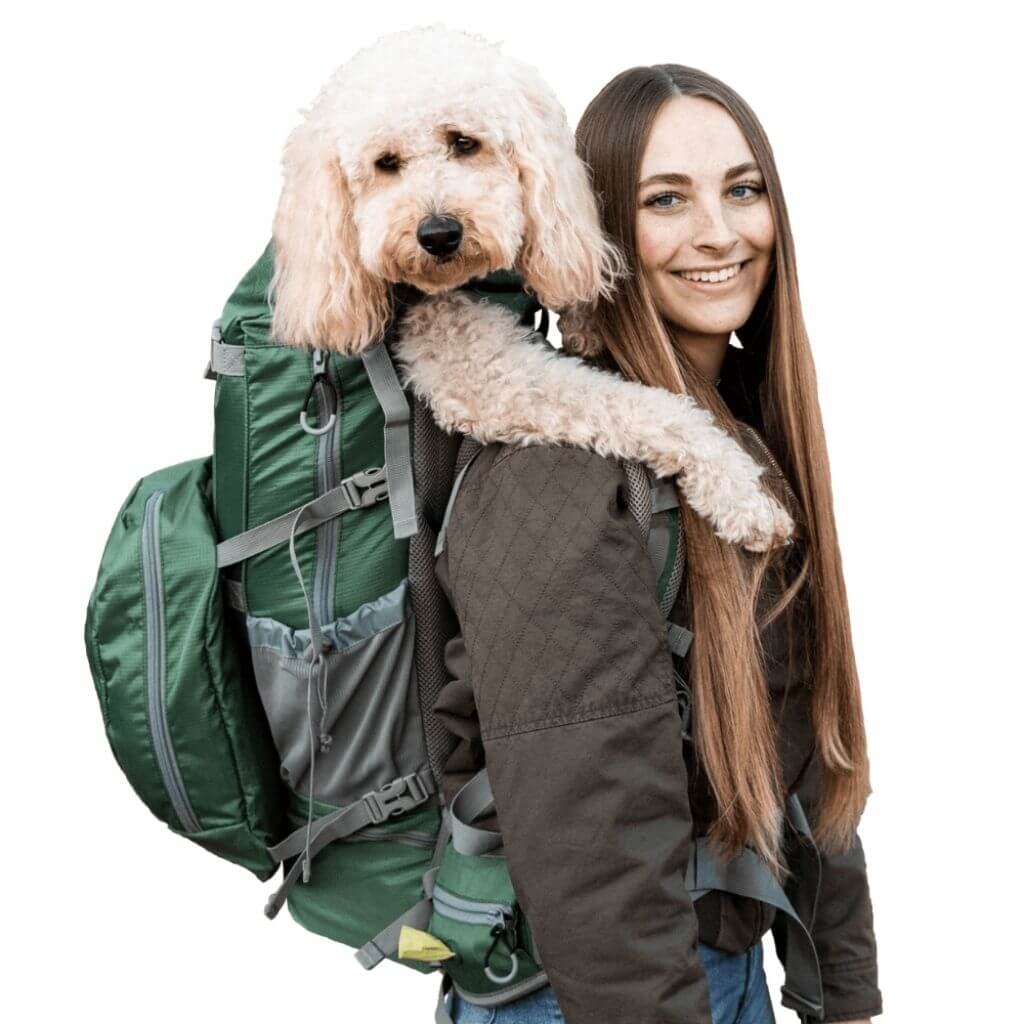 dog carrier Profile Picture