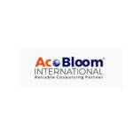 Aco Bloom Profile Picture