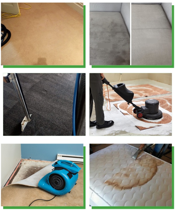 Carpet Cleaning Auckland | Professional Carpet Cleaning Services Manukau NZ