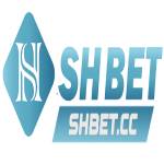 shbet cc Profile Picture