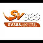 sv388travel Profile Picture