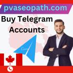 Buy Telegram Accounts Profile Picture