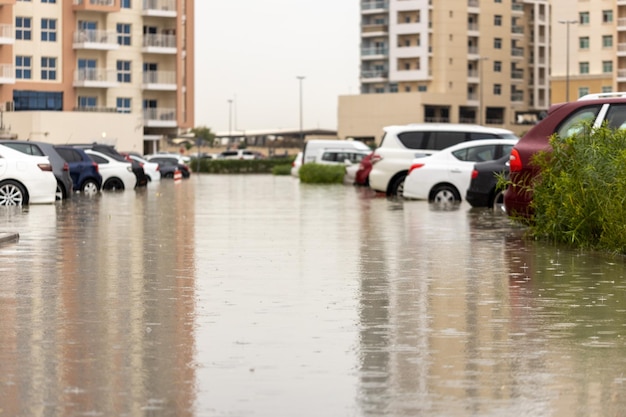 Finding Affordable Flood Insurance and Understanding Coverage Options - Bioneers Live