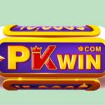 PKWIN Profile Picture