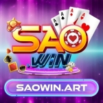 SAOWIN Profile Picture