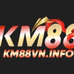 KM88 info Profile Picture