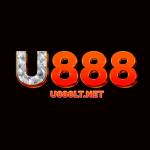 U888LT NET Profile Picture