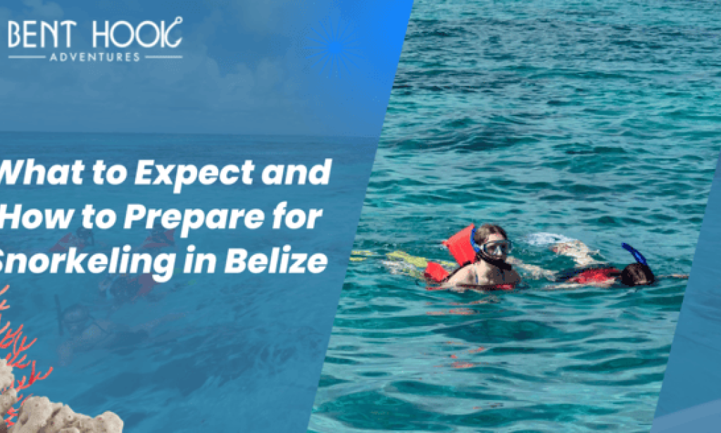 What to Expect and How to Prepare for Snorkeling in Belize