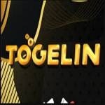 Togelin adalah Profile Picture