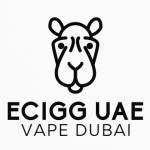 Ecigg UAE VAPE DUBAI Profile Picture