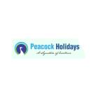 Peacock Holidays Profile Picture