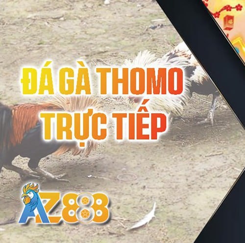 Trực Tiếp Đá Gà Profile Picture