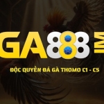 GA 888 Profile Picture