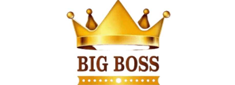 Bigboss Trade Forex Cover Image