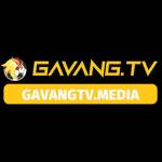 GaVangTv Media profile picture