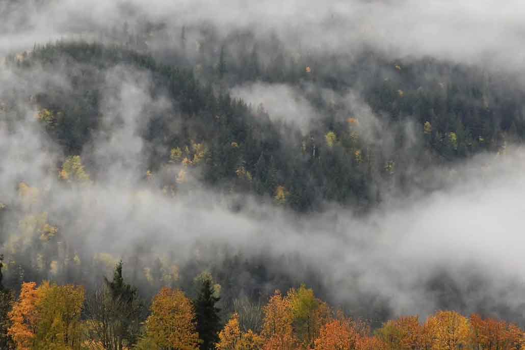 2nd Annual Fog Fest - Tourism Hope Cascades and Canyons