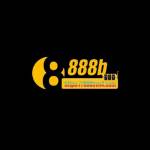 888b vn4 Profile Picture