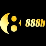 888B Profile Picture