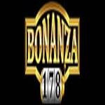 Bonanza 178 Profile Picture