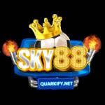 SKY88 Profile Picture