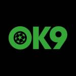 Ok9dev Com Profile Picture