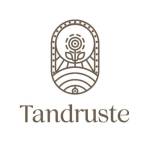 Tandruste Profile Picture