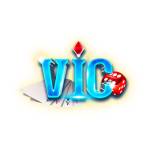 vicwinsitecom Profile Picture