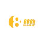 888B net Profile Picture