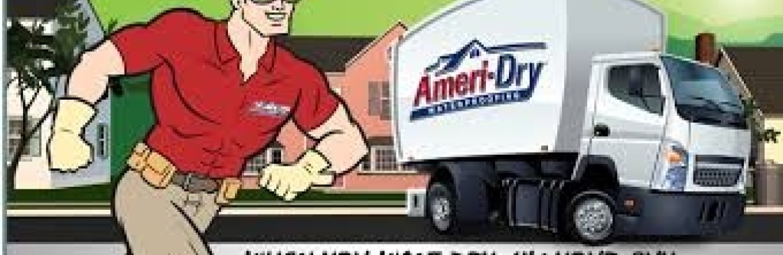 Ameri Dry Cover Image