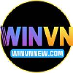 winvnnew com Profile Picture