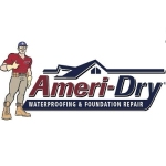 Ameri Dry profile picture