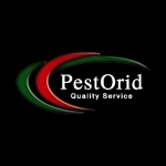 Pestorid Profile Picture