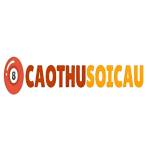 Cao Thủ Soi Cầu Profile Picture