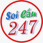 SOICAU247 co Profile Picture