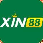 XIN88 Profile Picture