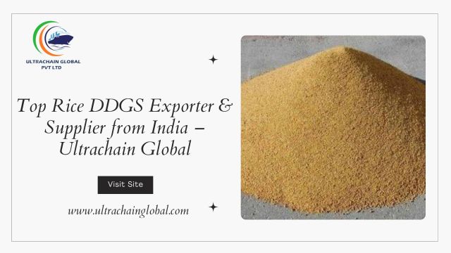 Top Rice DDGS Exporter from India – Ultrachain Global