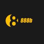 888b vnnet Profile Picture